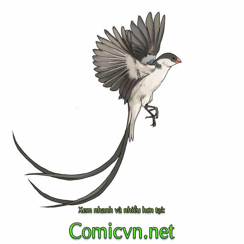 Thế Giới Cận Tử Chapter 2 - Trang 28