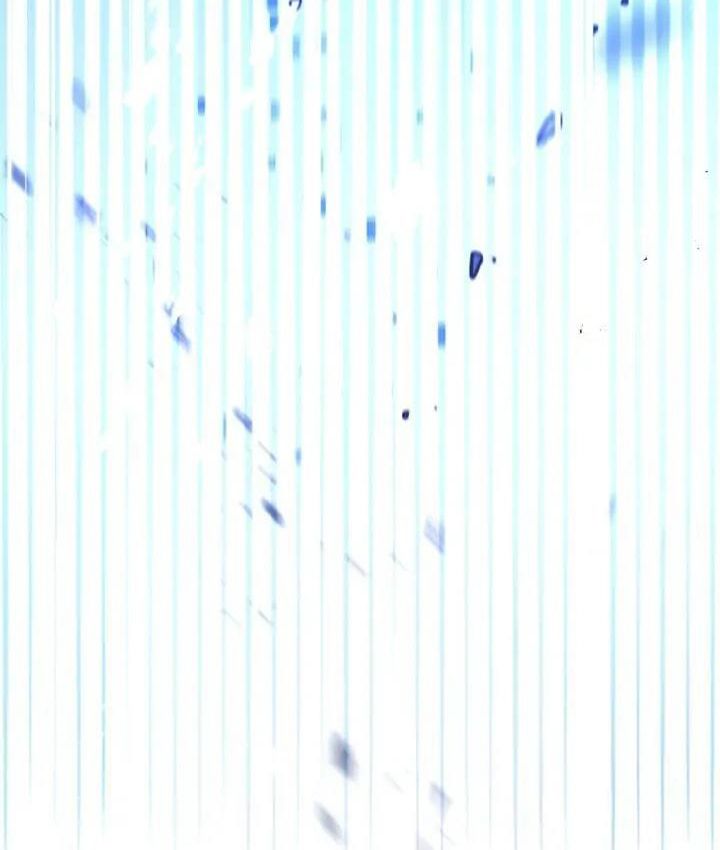 The Live Chapter 2 - Trang 42