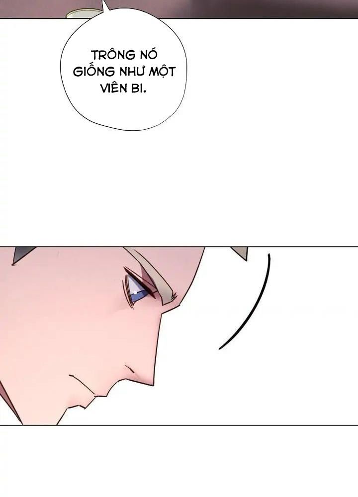 The Live Chapter 40 - Trang 24