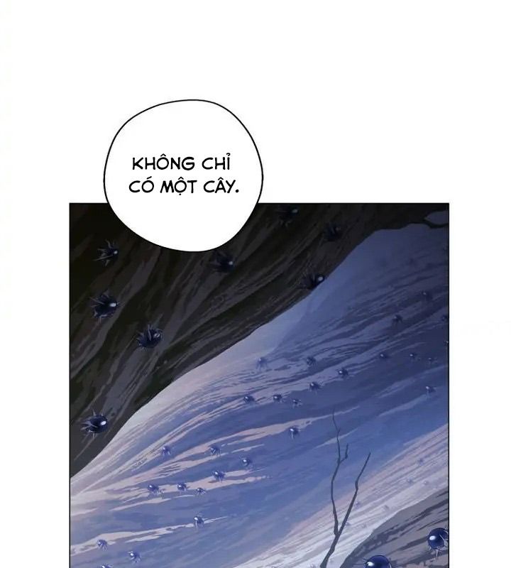 The Live Chapter 59 - Trang 26