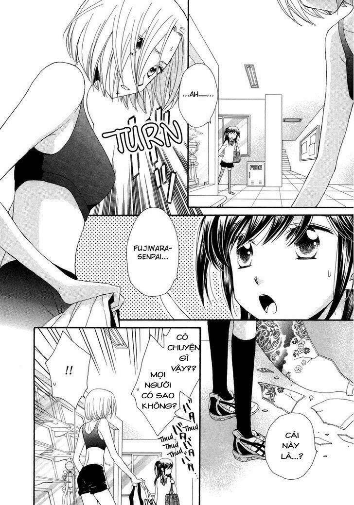 The Princess's Mirror Chapter 1 - Trang 5