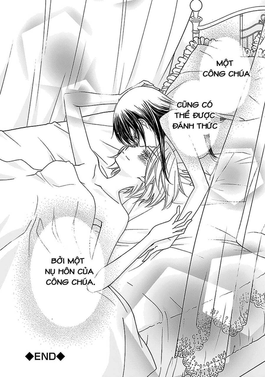 The Princess's Mirror Chapter 6 - Trang 25