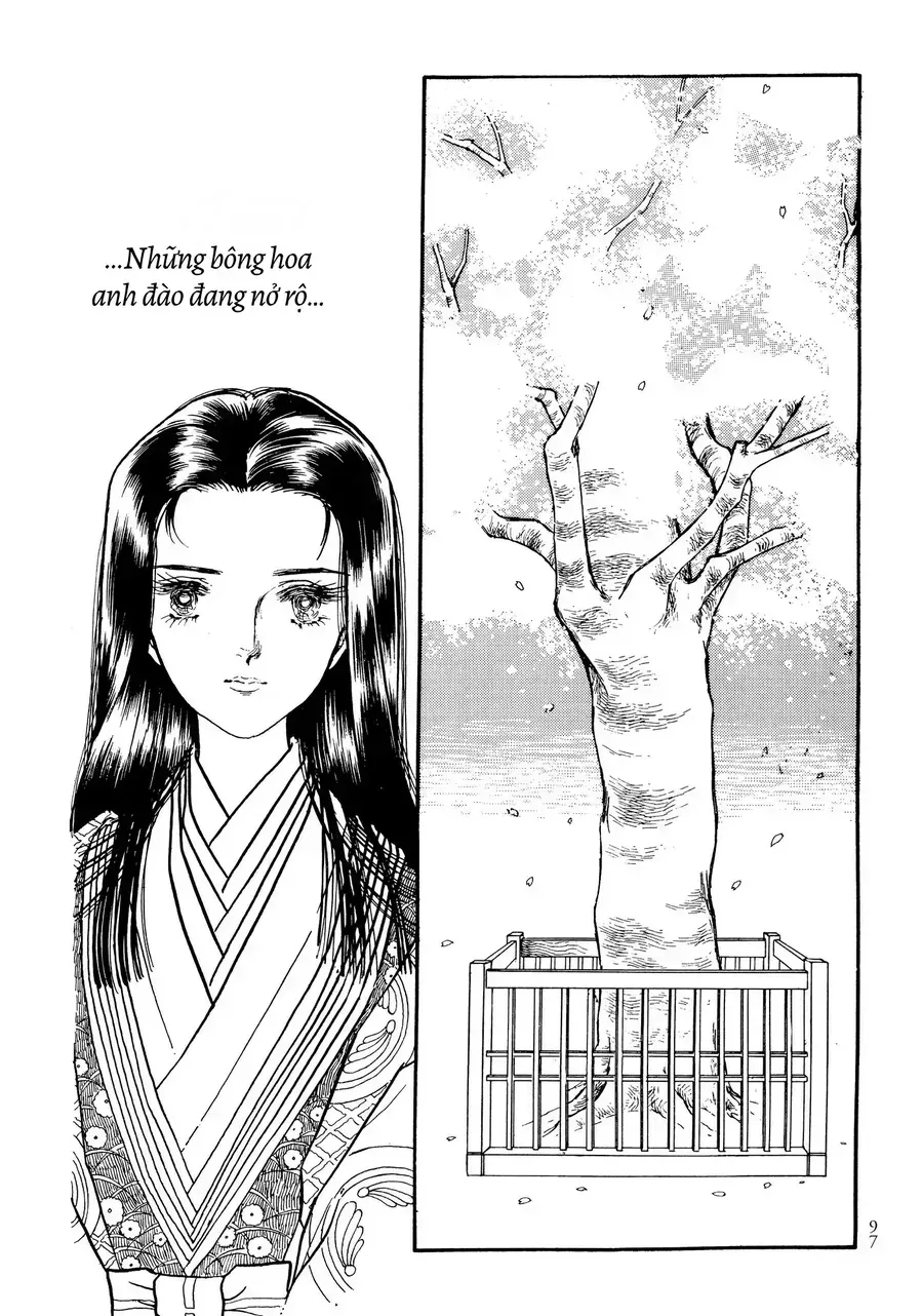 The Tale Of Genji: Dreams At Dawn Chapter 8 - Trang 4