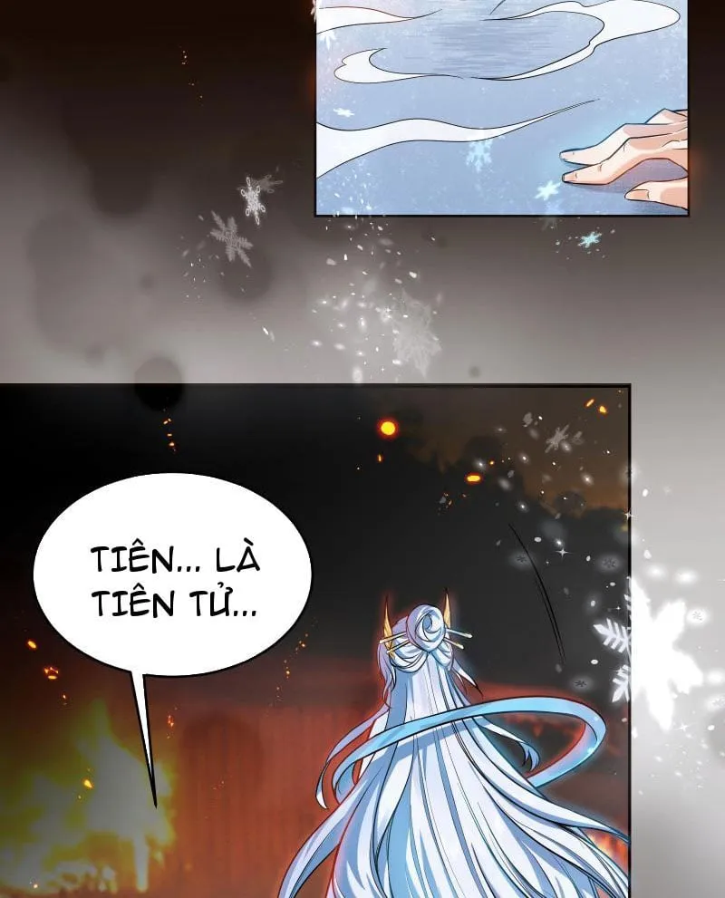 Thê tử của ta là Đại Thừa kỳ đại lão Chapter 1 - Trang 14