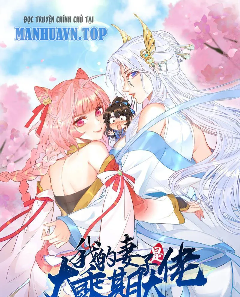 Thê tử của ta là Đại Thừa kỳ đại lão Chapter 2 - Trang 2