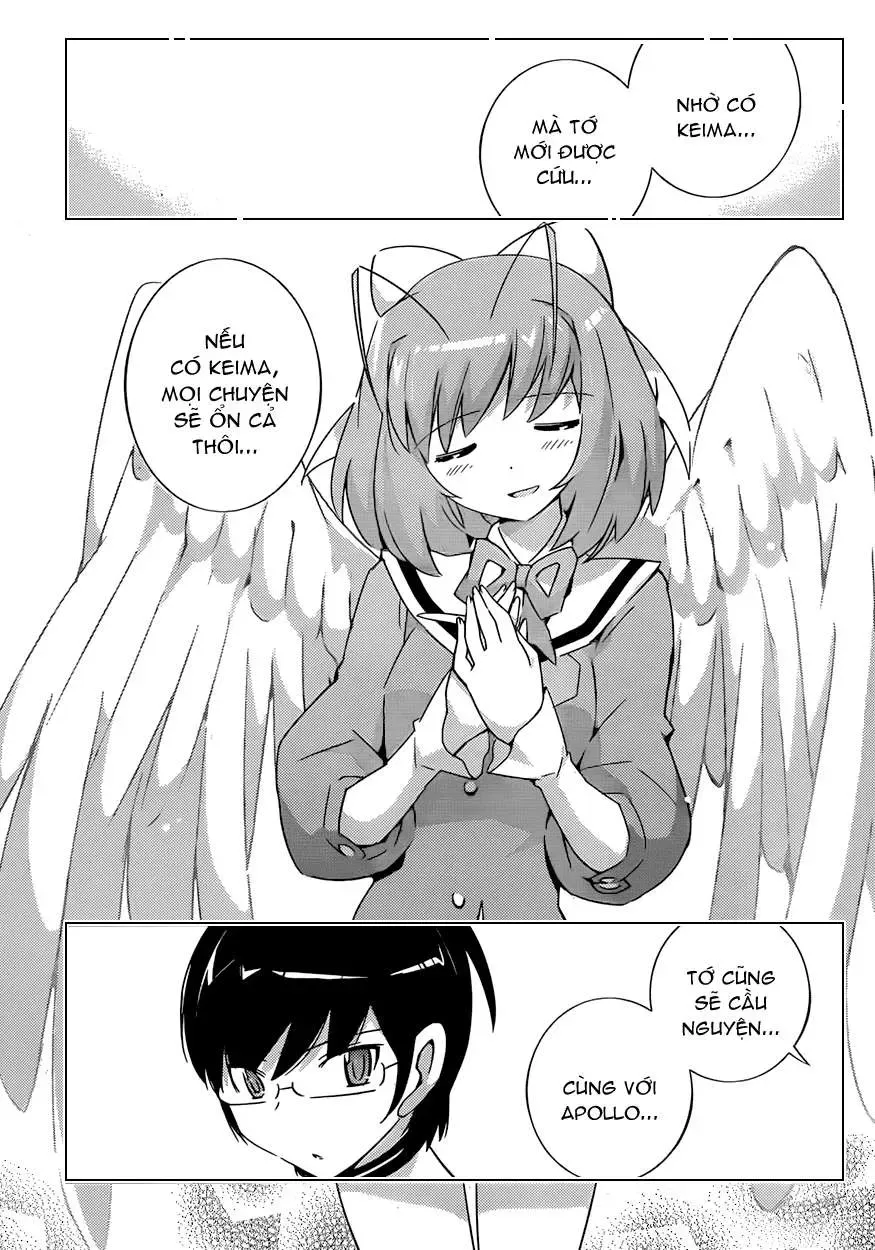 The World God Only Knows Chapter 159 - Trang 15