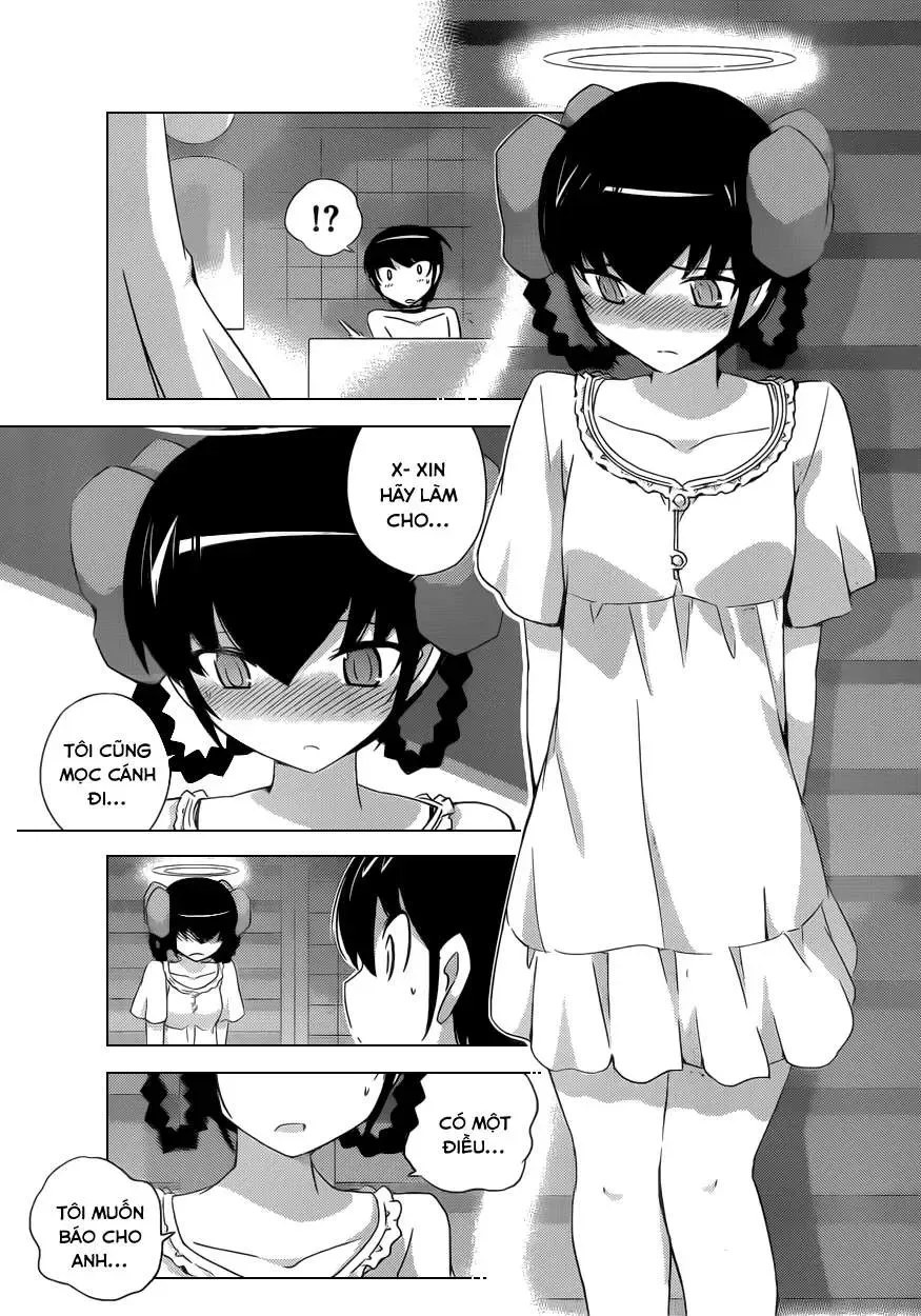 The World God Only Knows Chapter 167 - Trang 16
