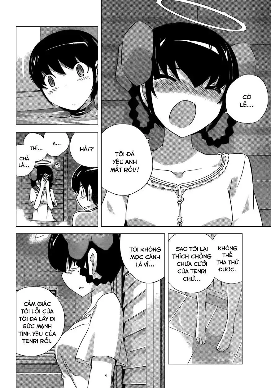 The World God Only Knows Chapter 167 - Trang 17