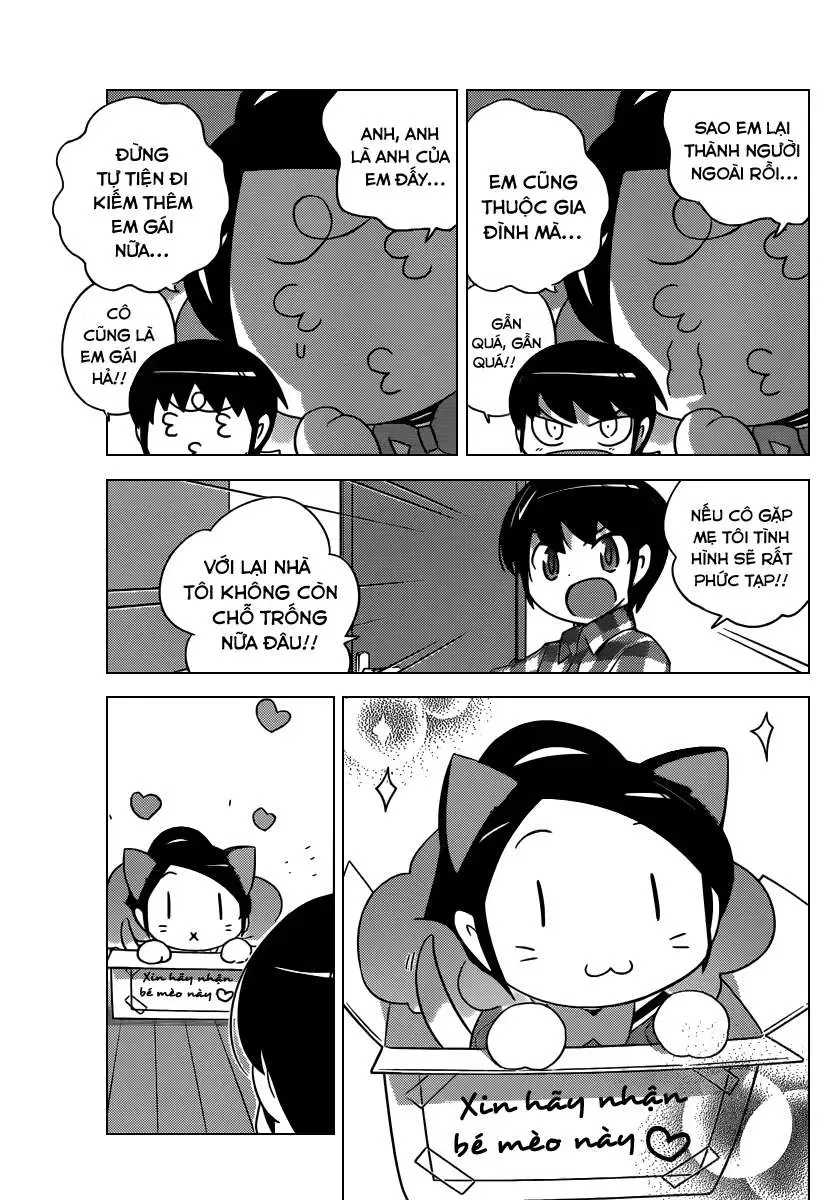The World God Only Knows Chapter 202 - Trang 12