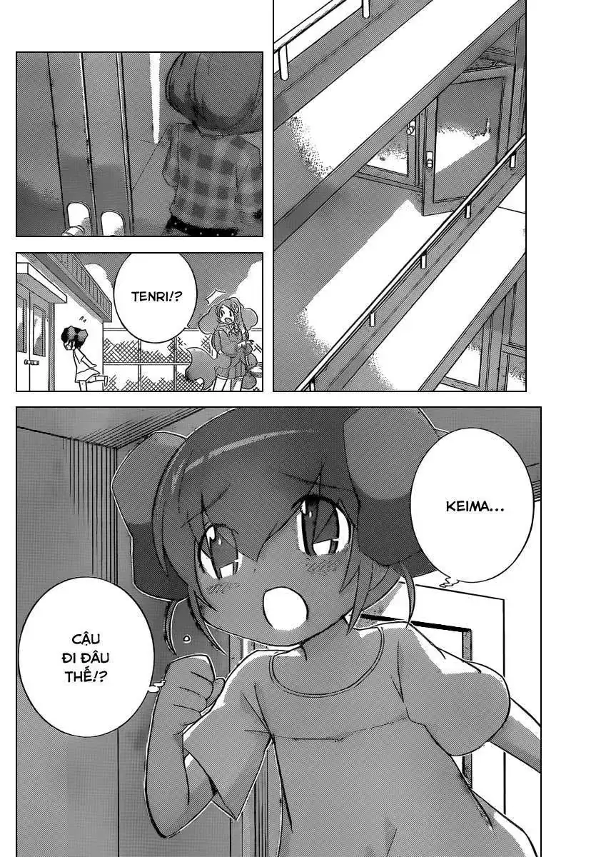 The World God Only Knows Chapter 239 - Trang 17