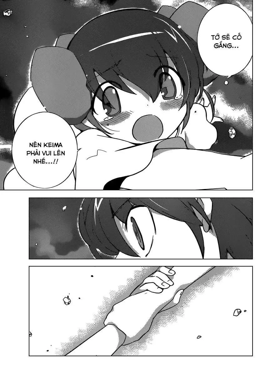 The World God Only Knows Chapter 243 - Trang 16
