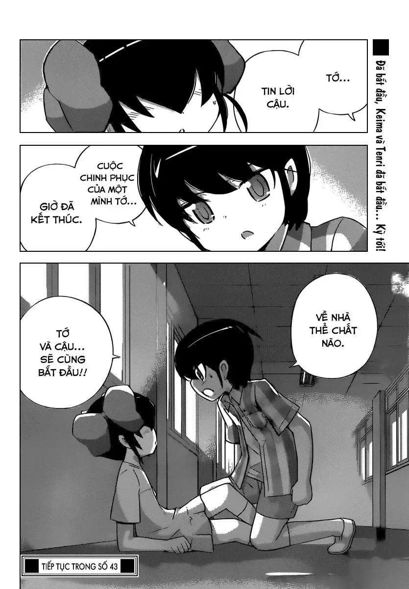 The World God Only Knows Chapter 243 - Trang 21