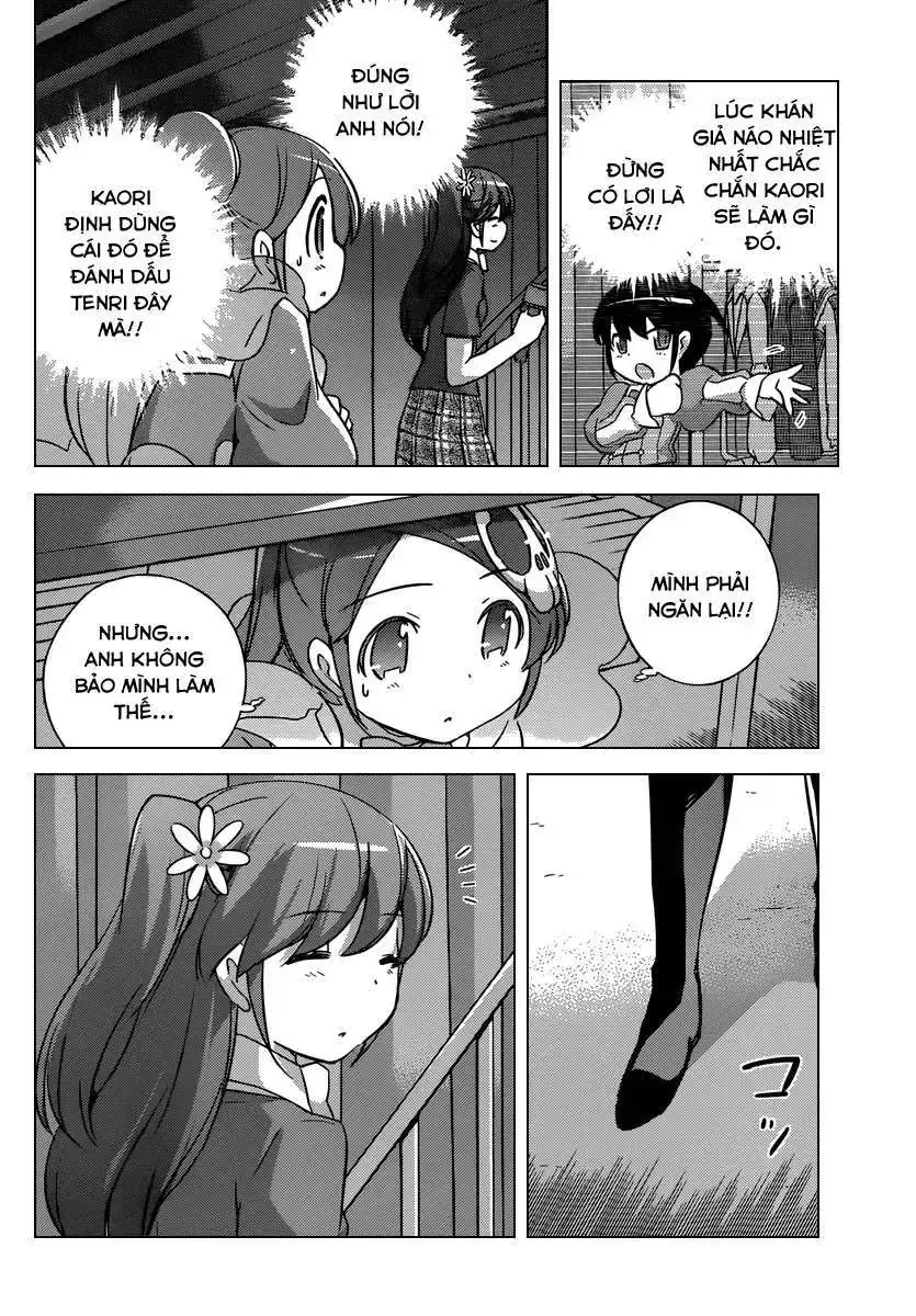 The World God Only Knows Chapter 246 - Trang 5