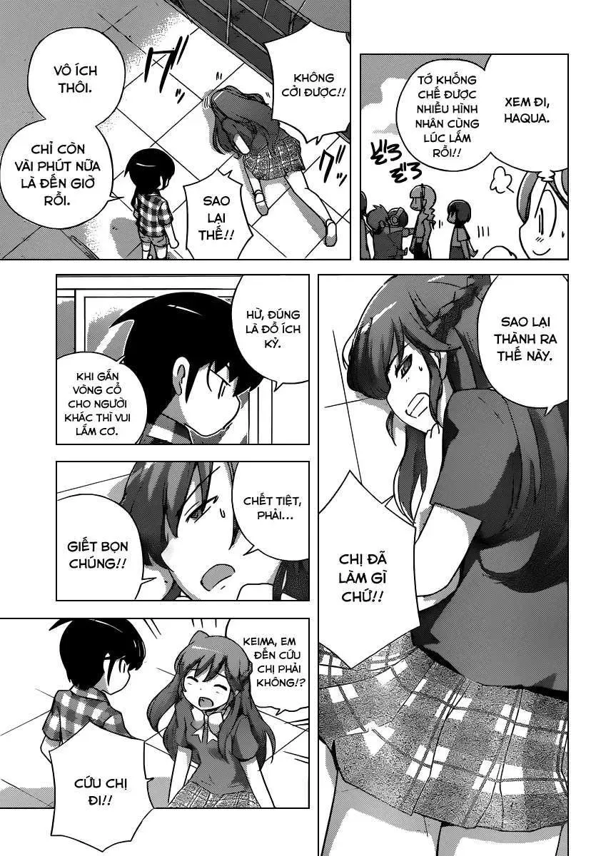 The World God Only Knows Chapter 247 - Trang 14