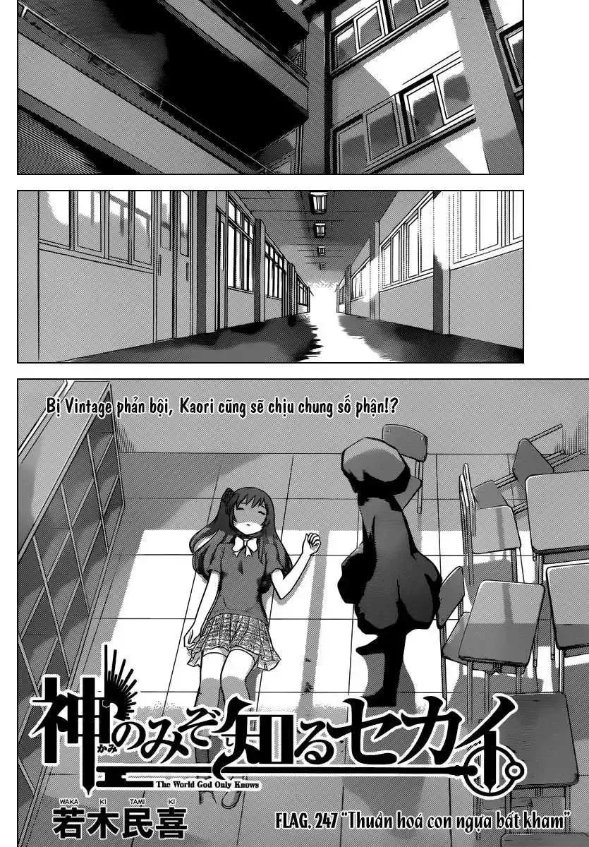 The World God Only Knows Chapter 247 - Trang 3