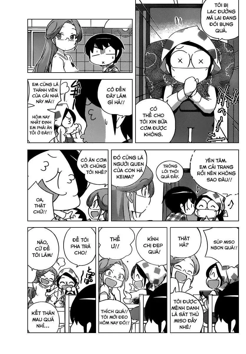 The World God Only Knows Chapter 249 - Trang 15