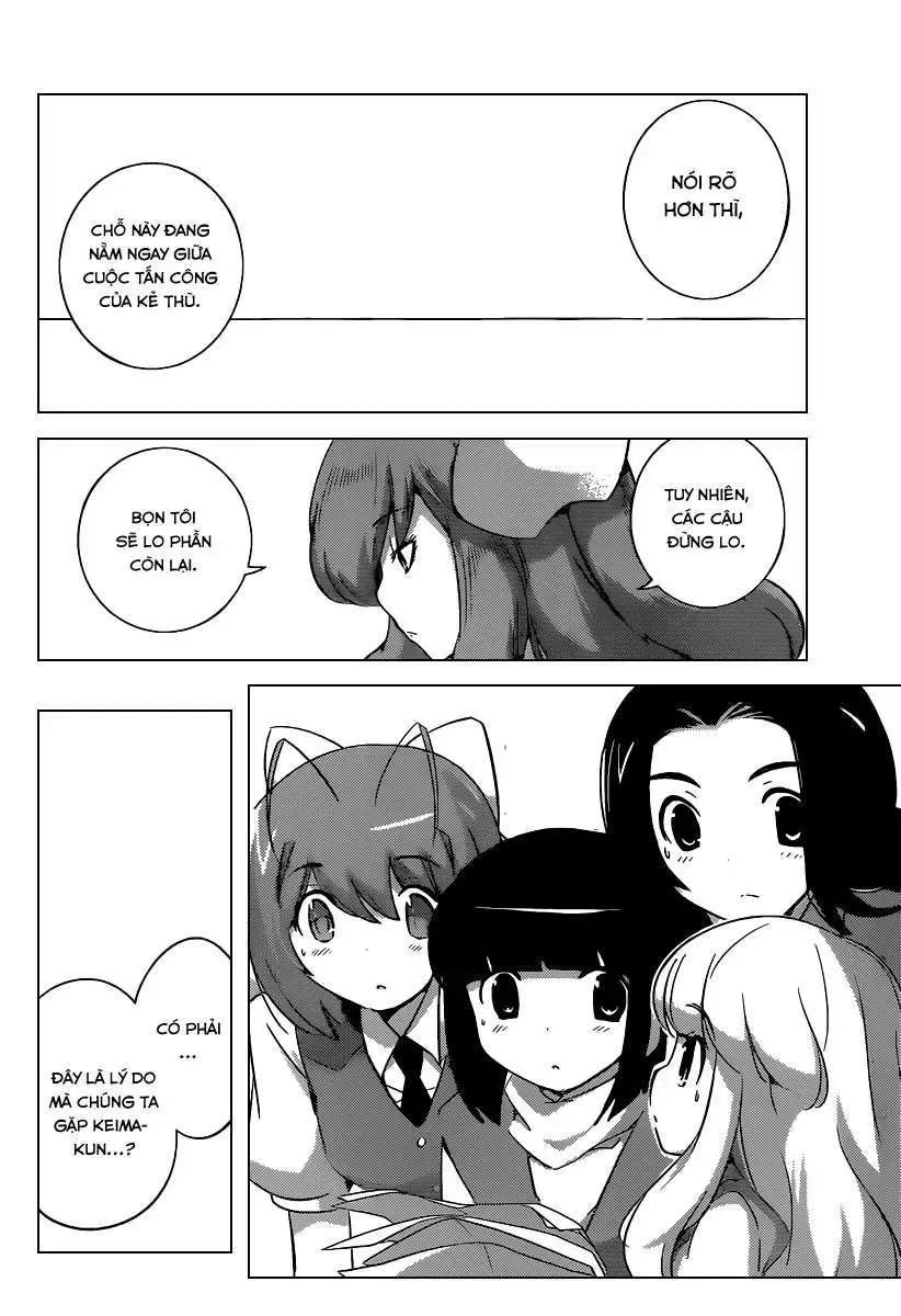 The World God Only Knows Chapter 264 - Trang 11