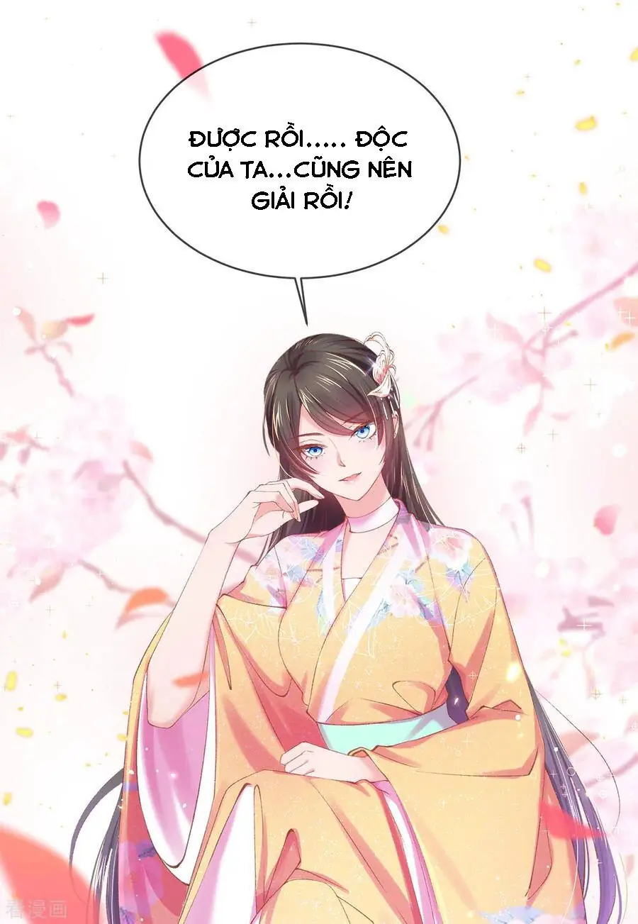 Thị Huyết Y Phi Chapter 123 - Trang 10