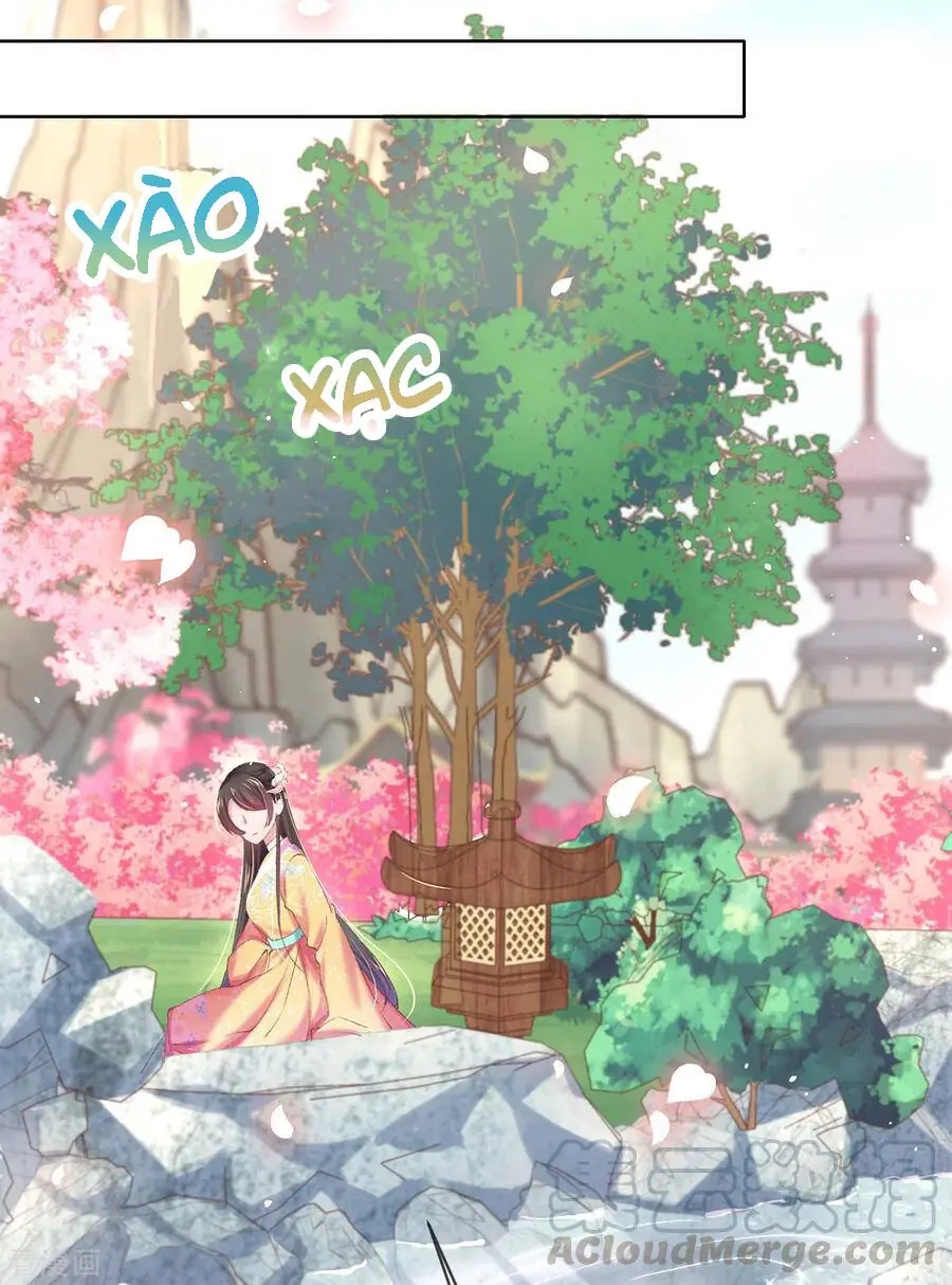 Thị Huyết Y Phi Chapter 123 - Trang 13