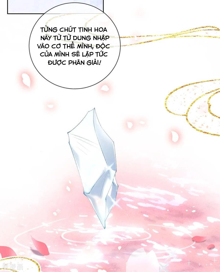 Thị Huyết Y Phi Chapter 123 - Trang 18