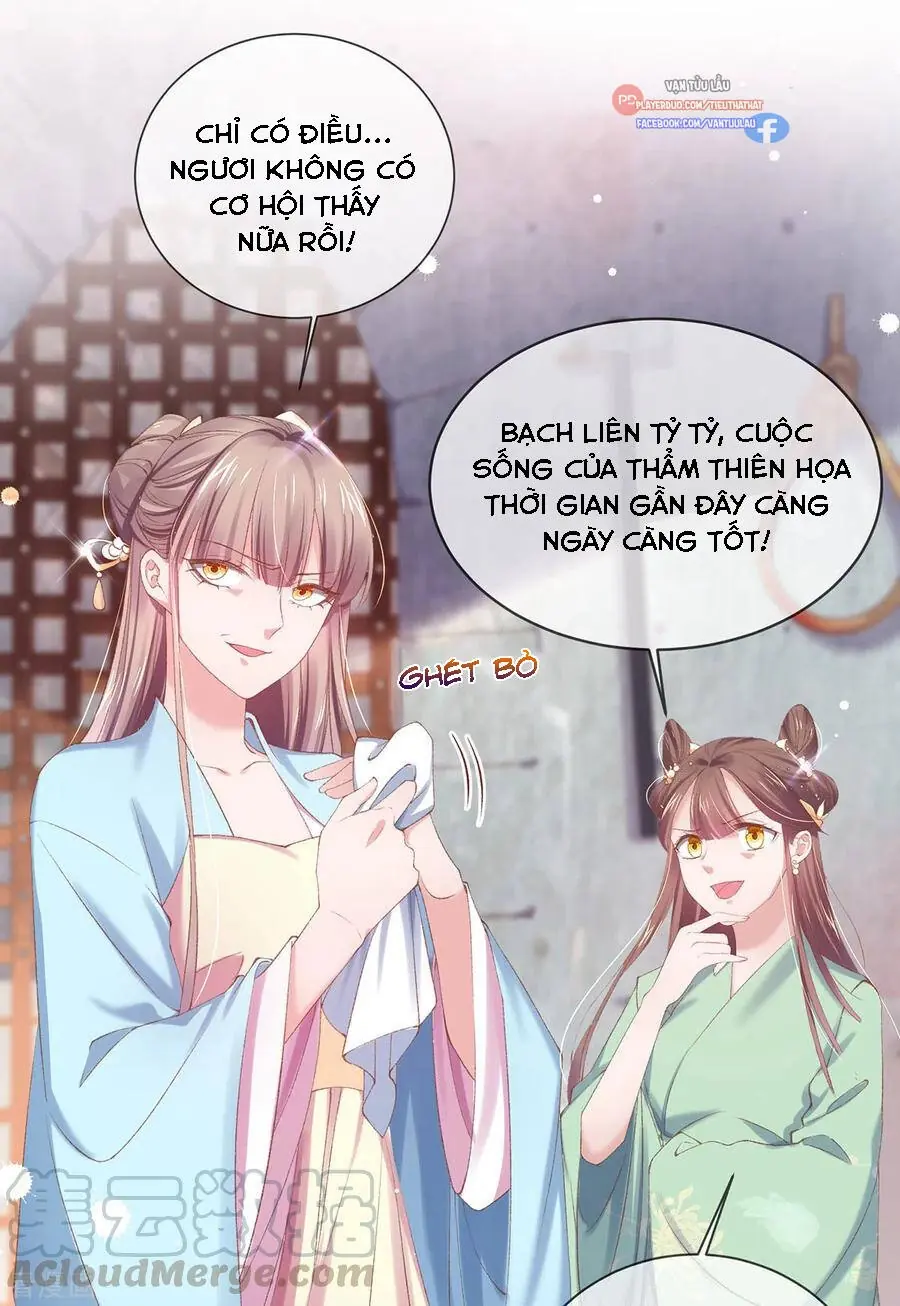 Thị Huyết Y Phi Chapter 123 - Trang 35