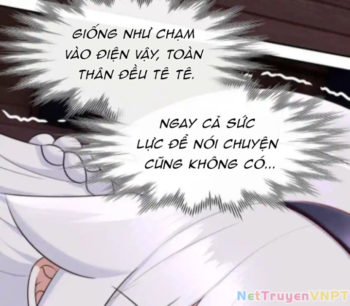 Thích Đuôi Lớn Thì Sao Chapter 31 - Trang 23