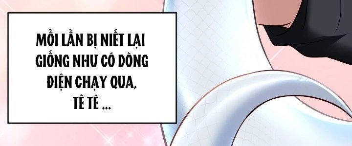 Thích Đuôi Lớn Thì Sao Chapter 4 - Trang 23