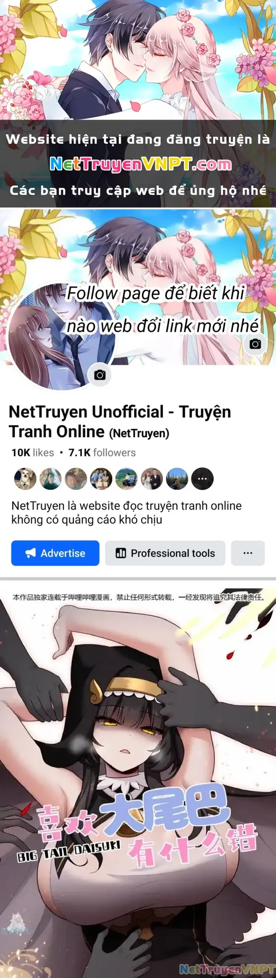 Thích Đuôi Lớn Thì Sao Chapter 40 - Trang 2