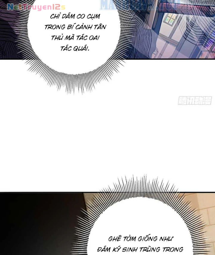 Thích Khách Này Quang Minh Lỗi Lạc Chapter 2 - Trang 42