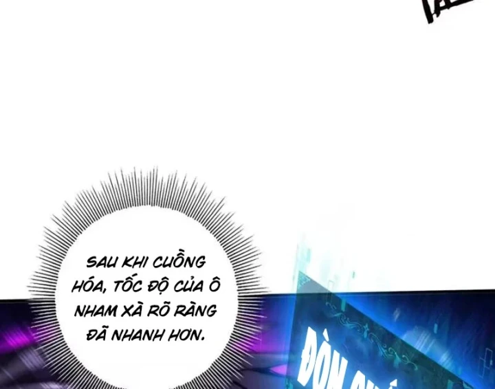 Thích Khách Này Quang Minh Lỗi Lạc Chapter 6 - Trang 8
