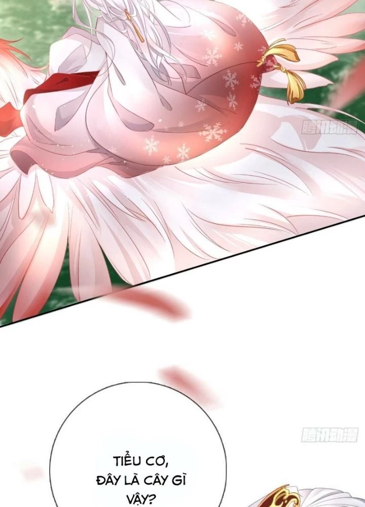 Thiên Hạ Vô Song Chapter 20 - Trang 34