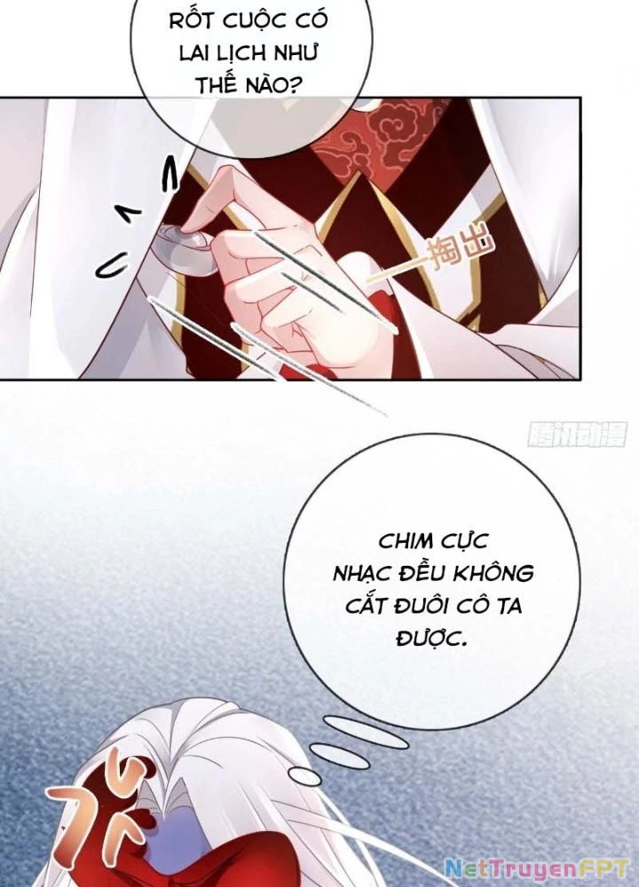 Thiên Hạ Vô Song Chapter 25 - Trang 12