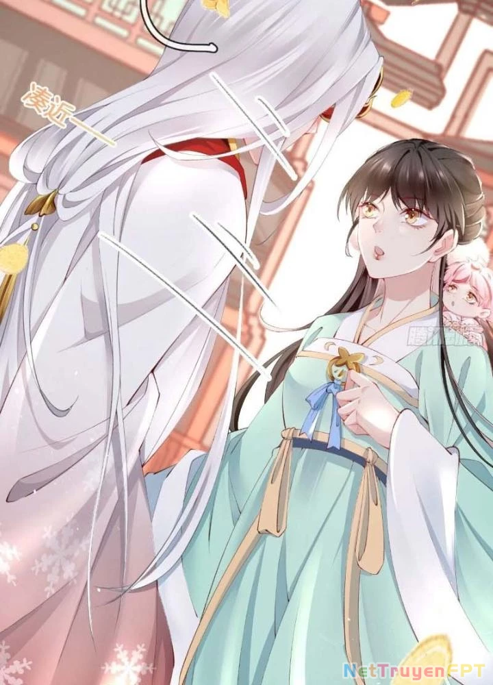 Thiên Hạ Vô Song Chapter 34 - Trang 6