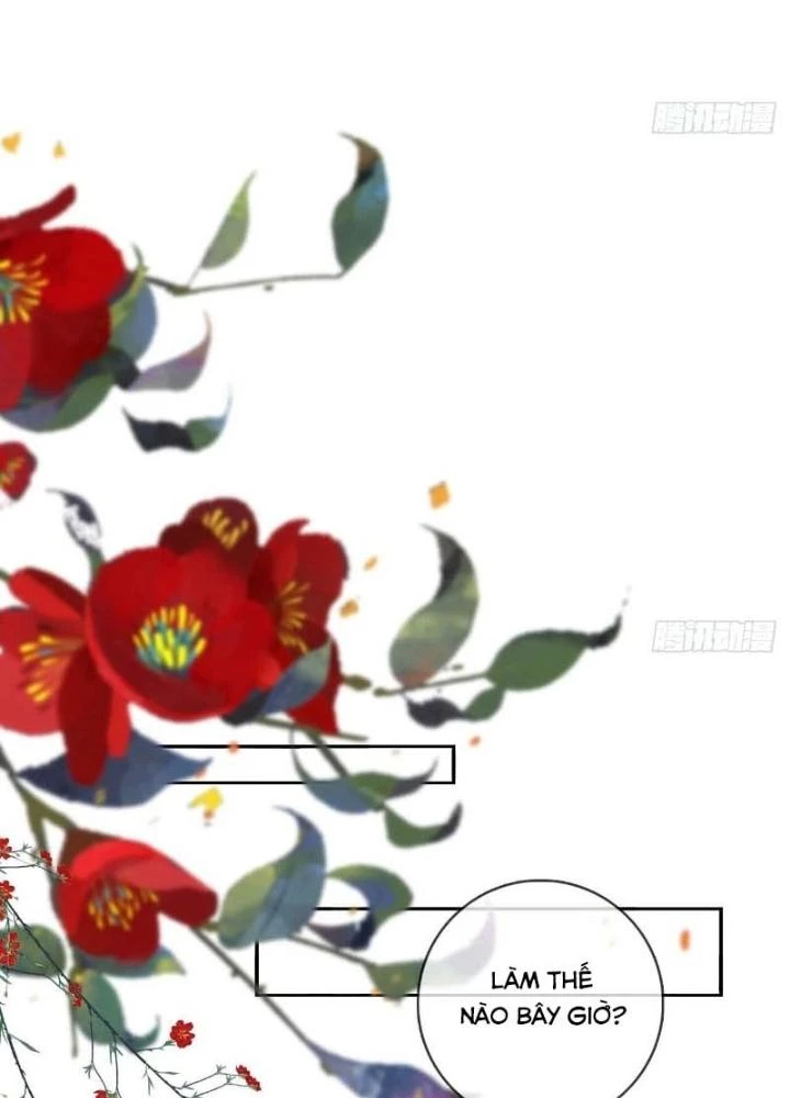 Thiên Hạ Vô Song Chapter 35 - Trang 30