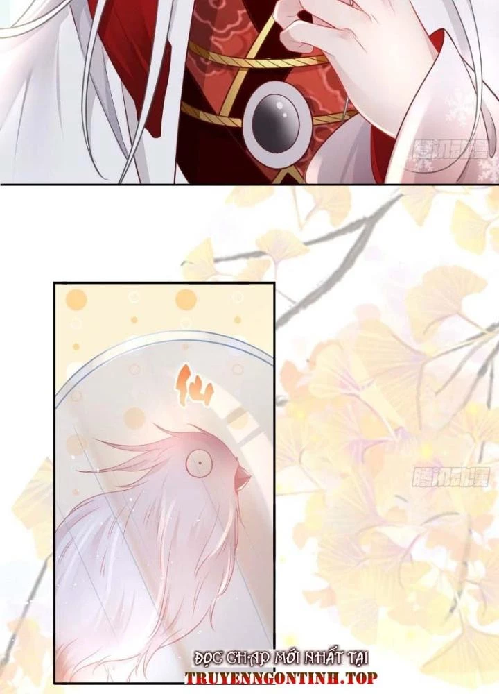 Thiên Hạ Vô Song Chapter 38 - Trang 38