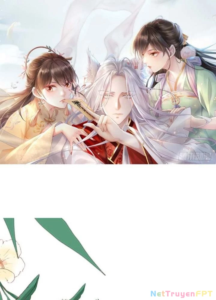 Thiên Hạ Vô Song Chapter 4 - Trang 4