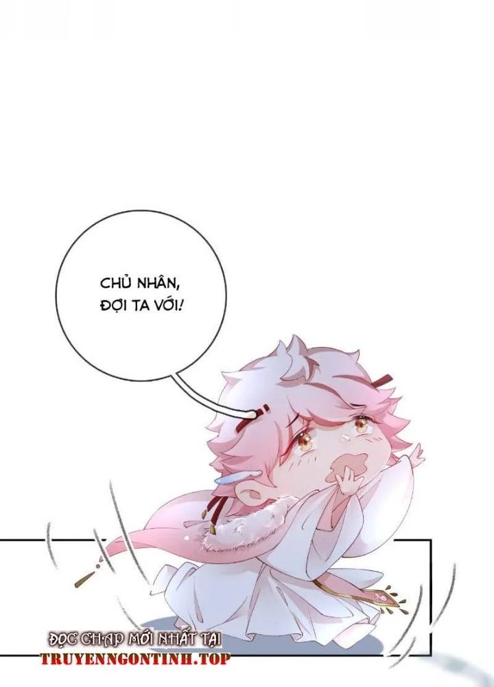 Thiên Hạ Vô Song Chapter 45 - Trang 42