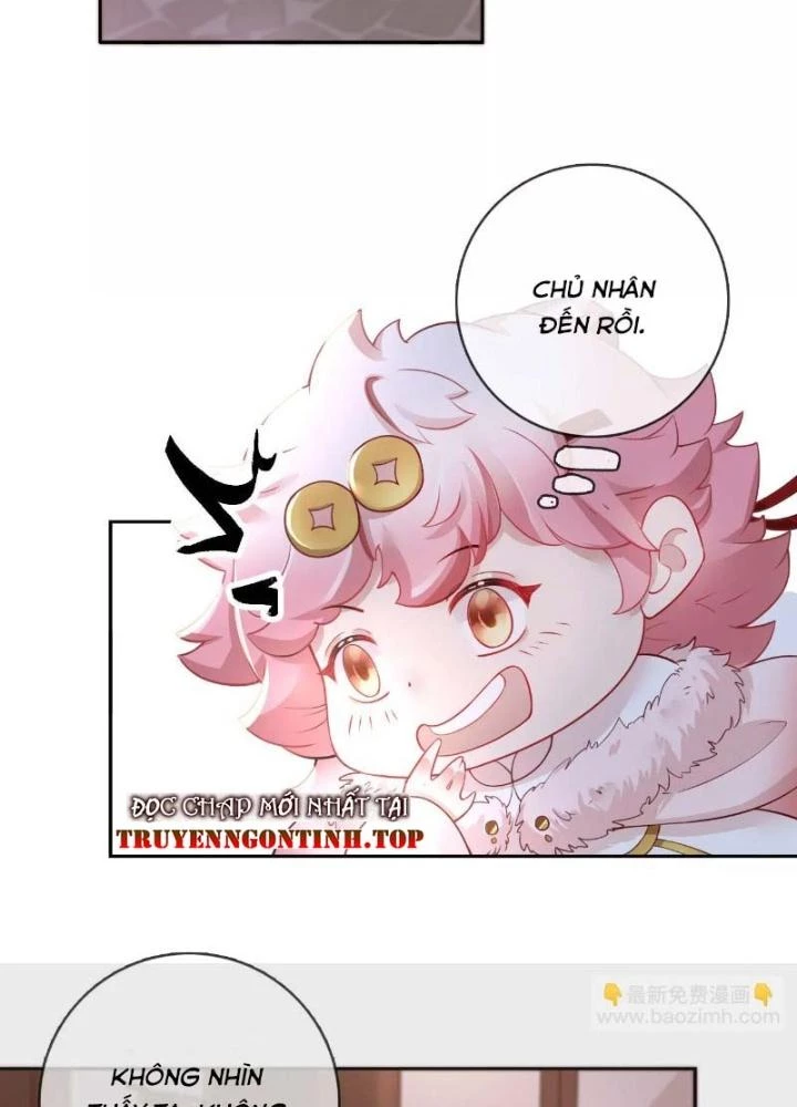 Thiên Hạ Vô Song Chapter 52 - Trang 4