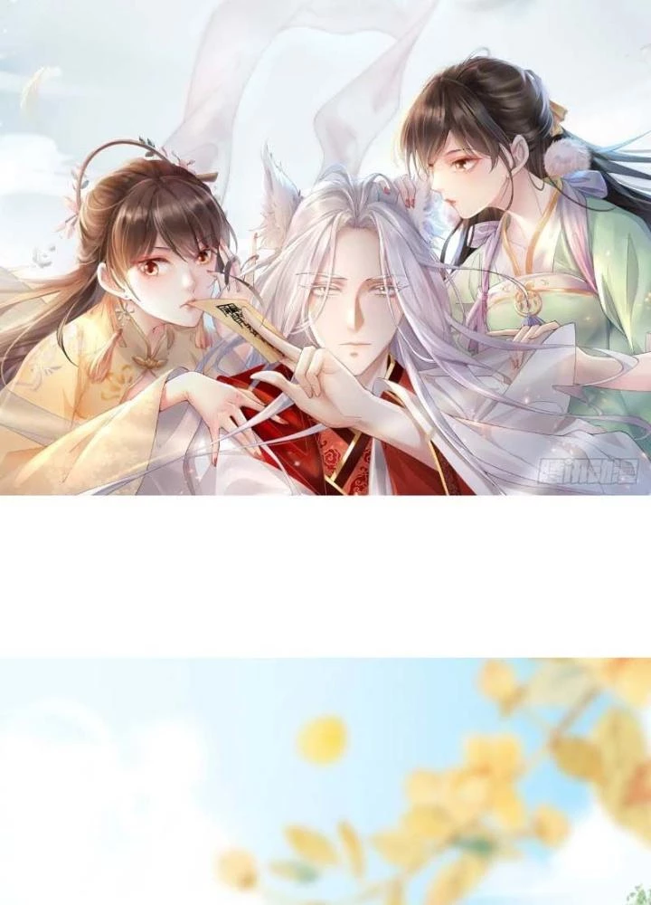 Thiên Hạ Vô Song Chapter 6 - Trang 4