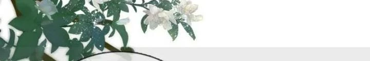 Thiên Hạ Vô Song Chapter 61 - Trang 41
