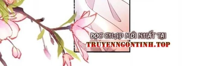 Thiên Hạ Vô Song Chapter 62 - Trang 3