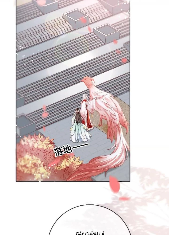 Thiên Hạ Vô Song Chapter 68 - Trang 12