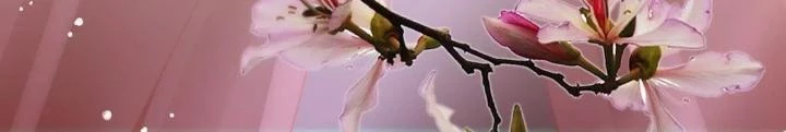 Thiên Hạ Vô Song Chapter 70 - Trang 39
