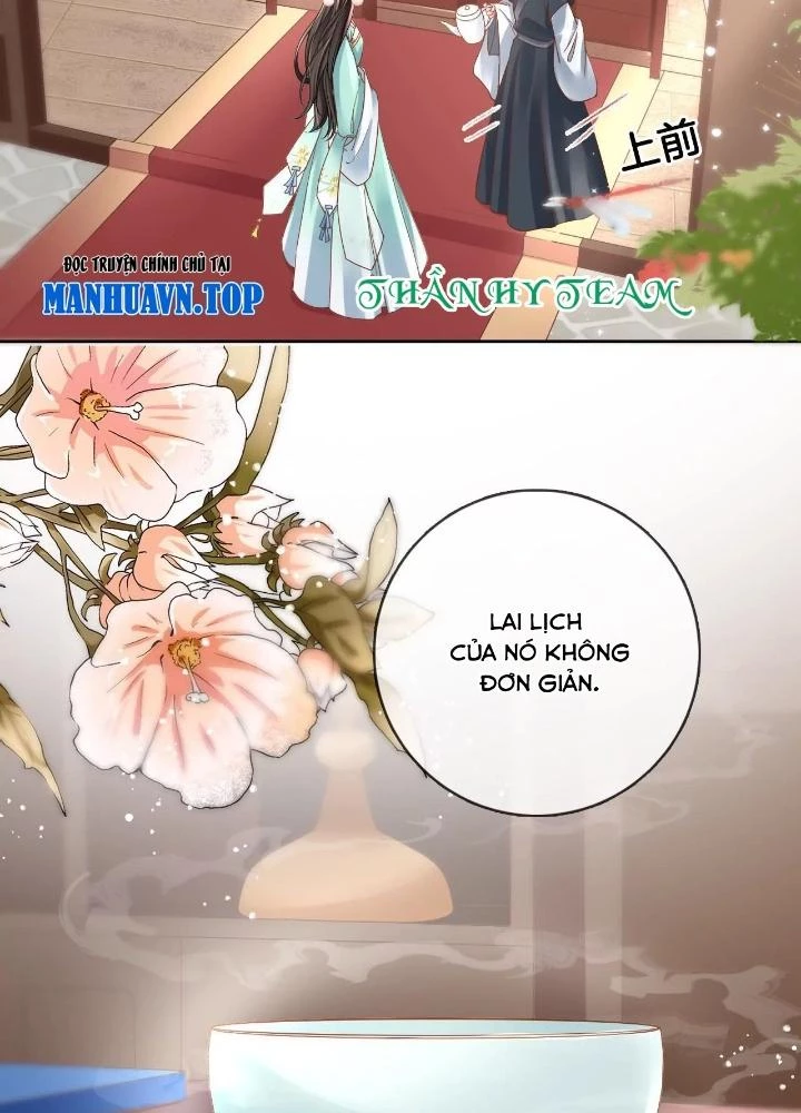 Thiên Hạ Vô Song Chapter 82 - Trang 8
