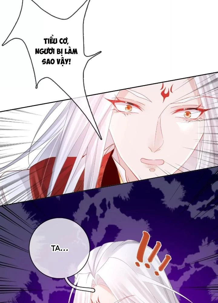 Thiên Hạ Vô Song Chapter 85 - Trang 48