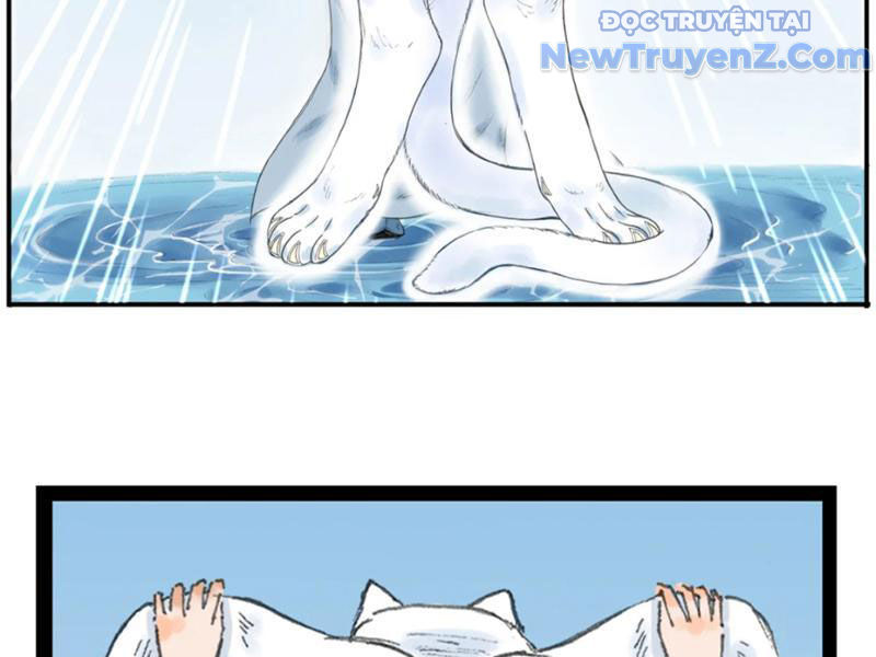Thiên Hải Nhập Mộng Chapter 6 - Trang 15