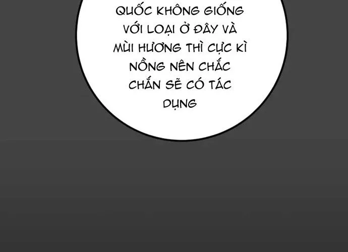 Thiên Quang Minh Nguyệt Chapter 108 - Trang 26