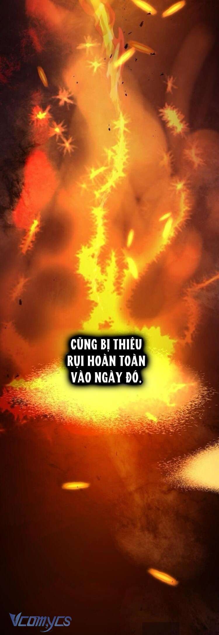 Thiêu Rụi Chapter 2 - Trang 4