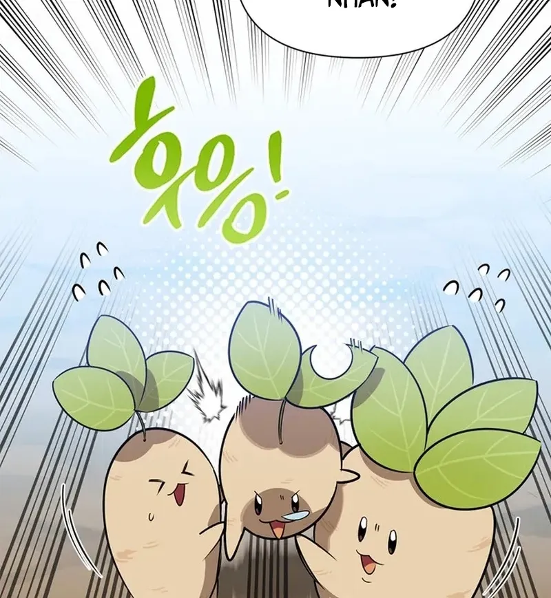 Thợ Săn Cấp S Chữa Trị Cho Quái Vật Chapter 1 - Trang 35