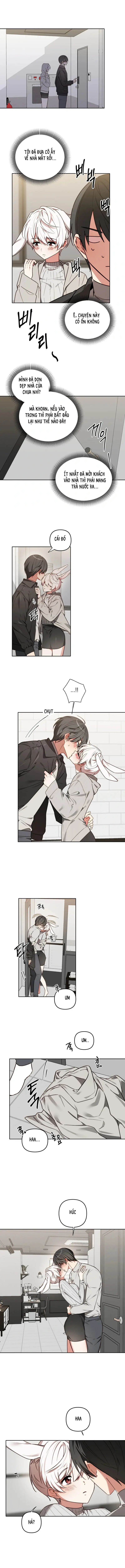 Thỏ Vũ Trụ Chapter 3 - Trang 2